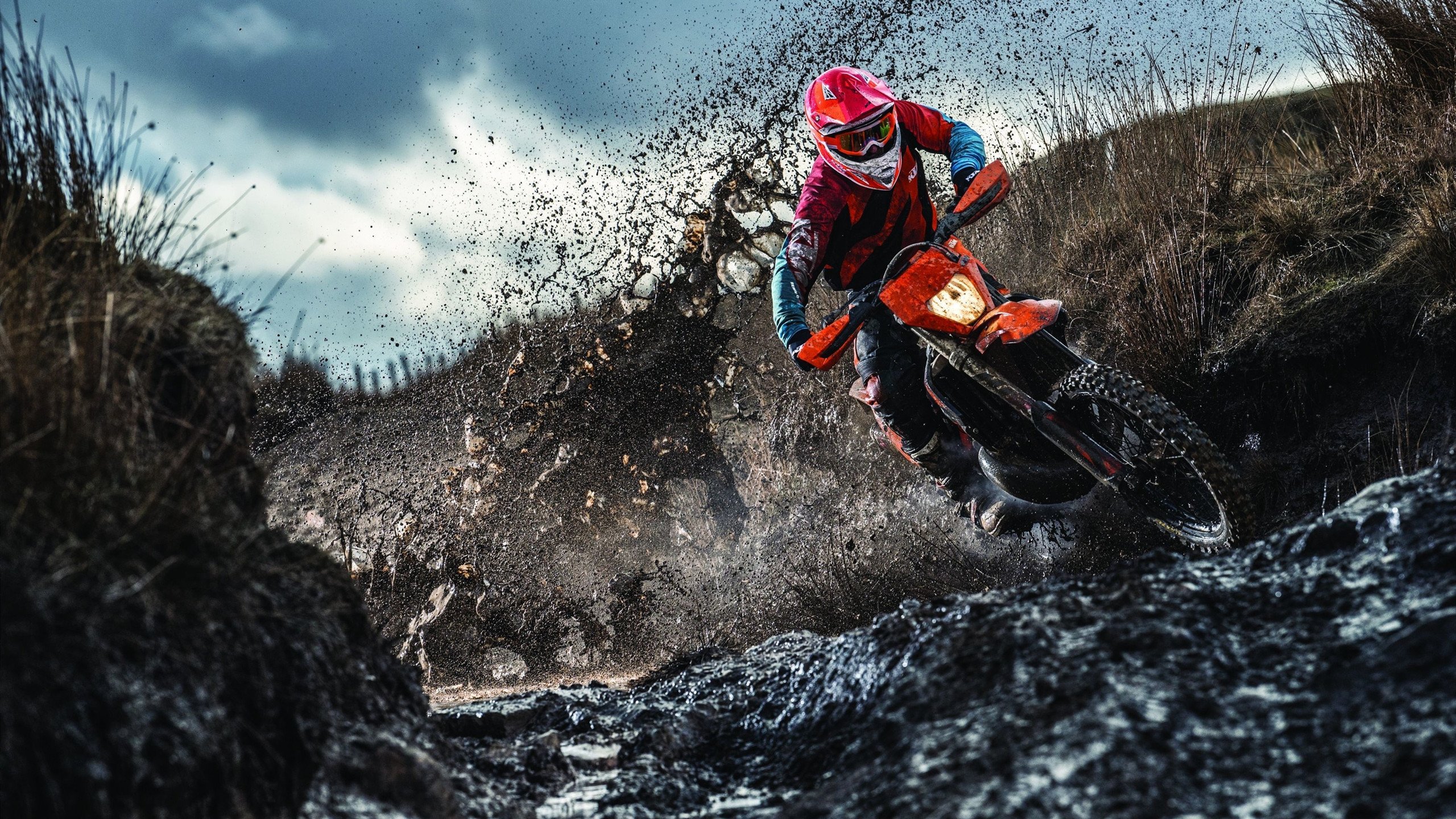 巴朗加国王赛季目标明确,巴芘布朗